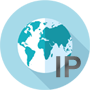 Website IP Finder